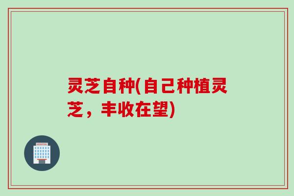 灵芝自种(自己种植灵芝，丰收在望)