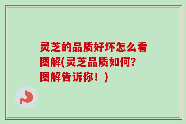 灵芝的品质好坏怎么看图解(灵芝品质如何？图解告诉你！)