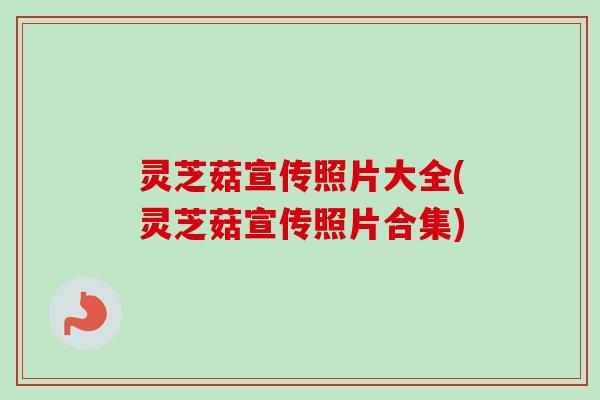 灵芝菇宣传照片大全(灵芝菇宣传照片合集)