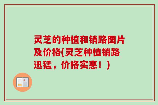 灵芝的种植和销路图片及价格(灵芝种植销路迅猛，价格实惠！)