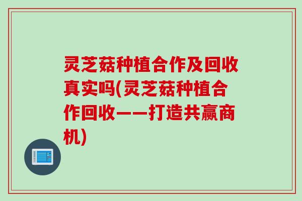 灵芝菇种植合作及回收真实吗(灵芝菇种植合作回收——打造共赢商机)