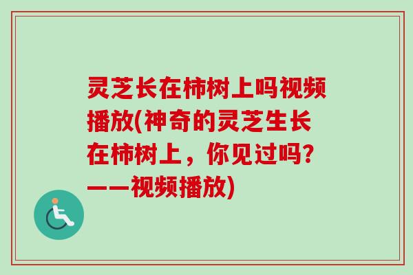 灵芝长在柿树上吗视频播放(神奇的灵芝生长在柿树上，你见过吗？——视频播放)