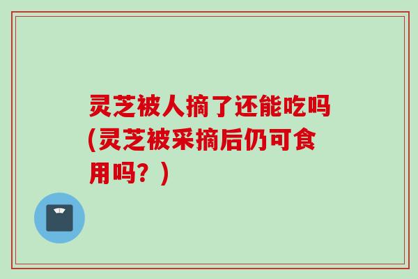 灵芝被人摘了还能吃吗(灵芝被采摘后仍可食用吗？)
