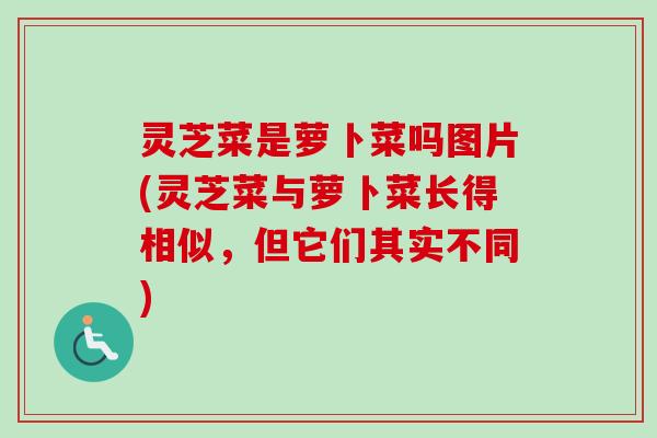 灵芝菜是萝卜菜吗图片(灵芝菜与萝卜菜长得相似，但它们其实不同)
