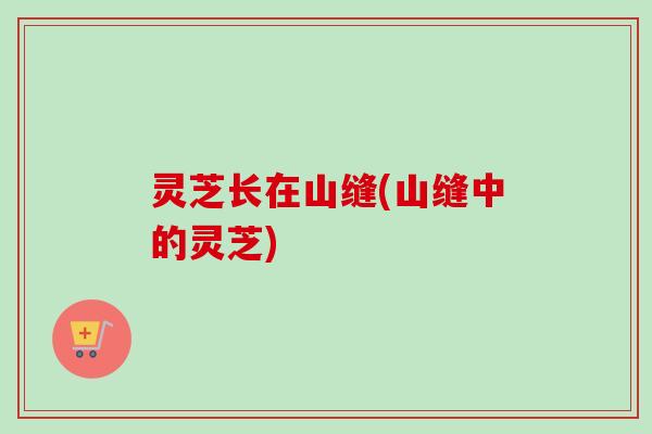 灵芝长在山缝(山缝中的灵芝)