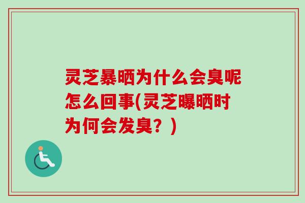 灵芝暴晒为什么会臭呢怎么回事(灵芝曝晒时为何会发臭？)