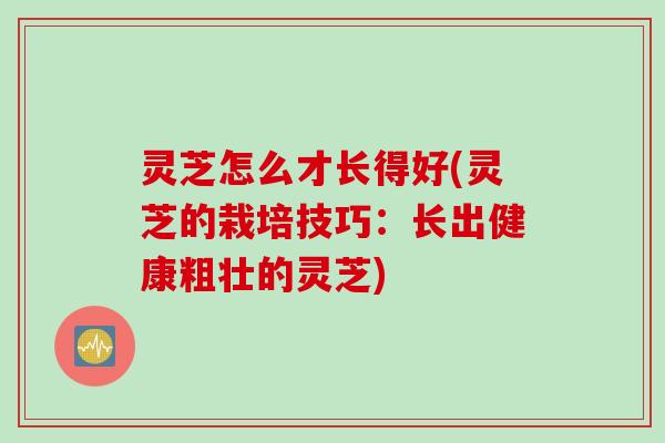 灵芝怎么才长得好(灵芝的栽培技巧：长出健康粗壮的灵芝)