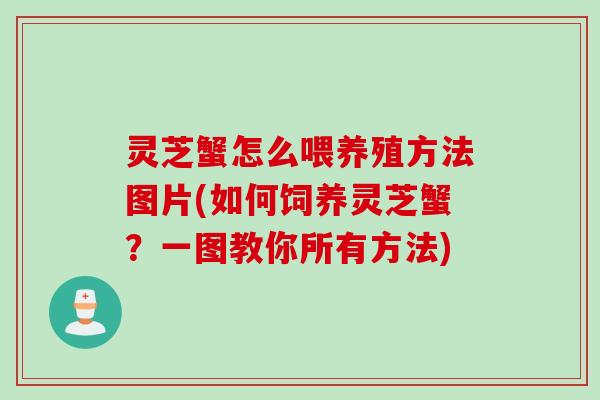 灵芝蟹怎么喂养殖方法图片(如何饲养灵芝蟹?一图教你所有方法) 灵芝蟹怎么喂养殖方法图片(如何饲养灵芝蟹?一图教你所有方法)