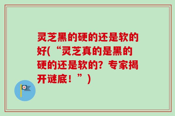 灵芝黑的硬的还是软的好(“灵芝真的是黑的硬的还是软的？专家揭开谜底！”)