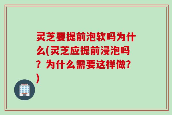 灵芝要提前泡软吗为什么(灵芝应提前浸泡吗？为什么需要这样做？)