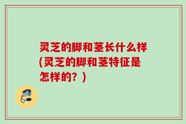 灵芝的脚和茎长什么样(灵芝的脚和茎特征是怎样的？)