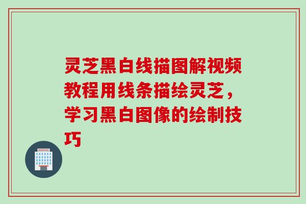 灵芝黑白线描图解视频教程用线条描绘灵芝，学习黑白图像的绘制技巧