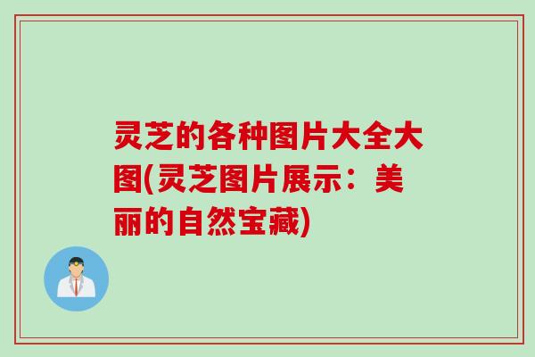 灵芝的各种图片大全大图(灵芝图片展示:美丽的自然宝藏) 灵芝的各种图片大全大图(灵芝图片展示:美丽的自然宝藏)