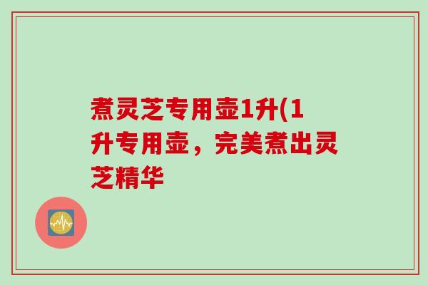 煮灵芝专用壶1升(1升专用壶，完美煮出灵芝精华