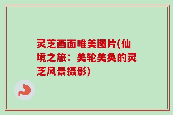 灵芝画面唯美图片(仙境之旅：美轮美奂的灵芝风景摄影)