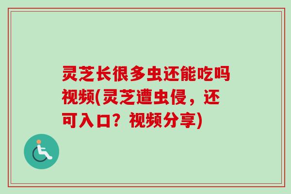 灵芝长很多虫还能吃吗视频(灵芝遭虫侵，还可入口？视频分享)