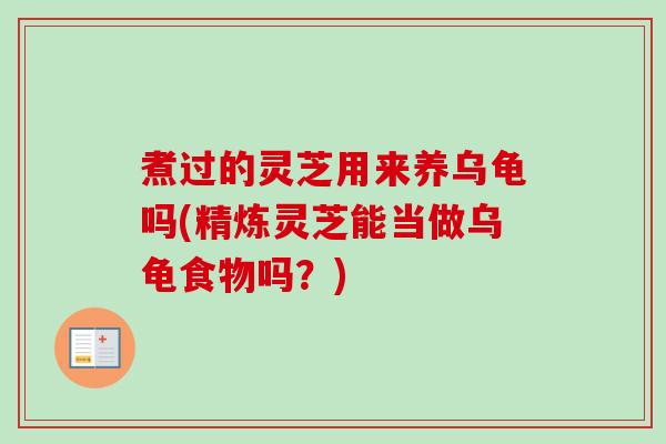 煮过的灵芝用来养乌龟吗(精炼灵芝能当做乌龟食物吗？)