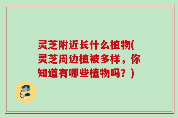 灵芝附近长什么植物(灵芝周边植被多样，你知道有哪些植物吗？)
