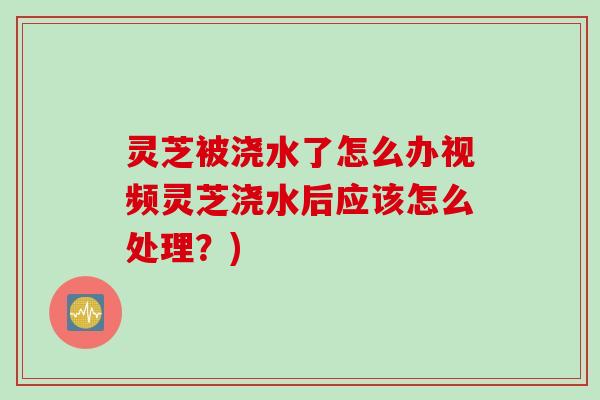 灵芝被浇水了怎么办视频灵芝浇水后应该怎么处理?) 灵芝被浇水了怎么办视频灵芝浇水后应该怎么处理?)