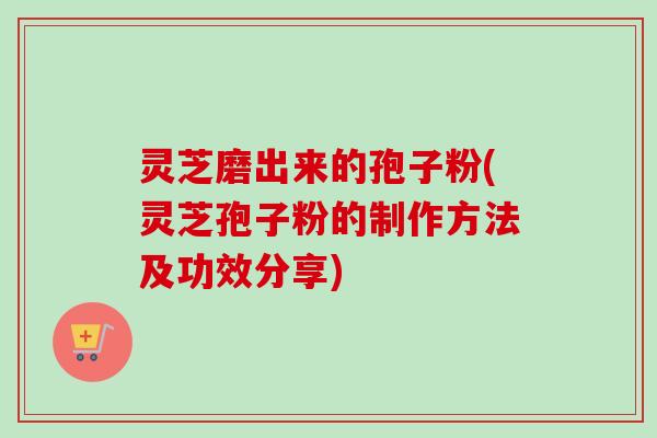 灵芝磨出来的孢子粉(灵芝孢子粉的制作方法及功效分享)