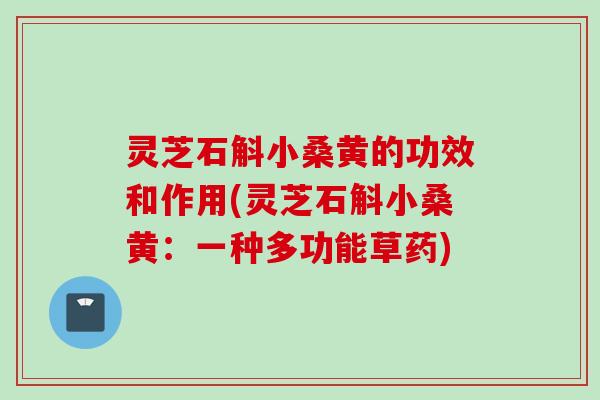 灵芝石斛小桑黄的功效和作用(灵芝石斛小桑黄：一种多功能草药)