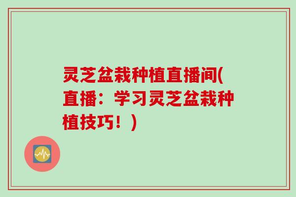 灵芝盆栽种植直播间(直播：学习灵芝盆栽种植技巧！)