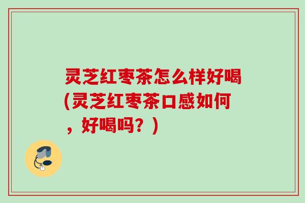 灵芝红枣茶怎么样好喝(灵芝红枣茶口感如何，好喝吗？)