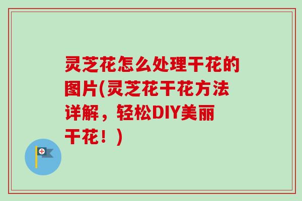 灵芝花怎么处理干花的图片(灵芝花干花方法详解，轻松DIY美丽干花！)