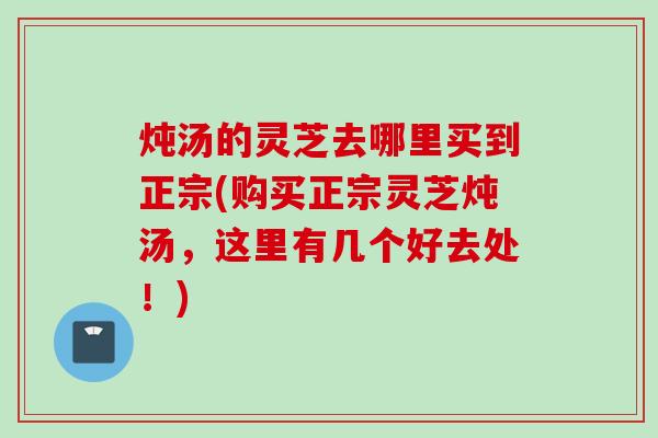 炖汤的灵芝去哪里买到正宗(购买正宗灵芝炖汤，这里有几个好去处！)