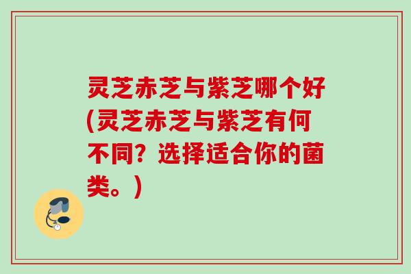 灵芝赤芝与紫芝哪个好(灵芝赤芝与紫芝有何不同？选择适合你的菌类。)