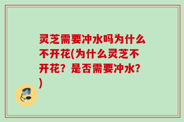 灵芝需要冲水吗为什么不开花(为什么灵芝不开花？是否需要冲水？)