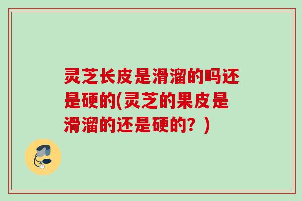 灵芝长皮是滑溜的吗还是硬的(灵芝的果皮是滑溜的还是硬的？)