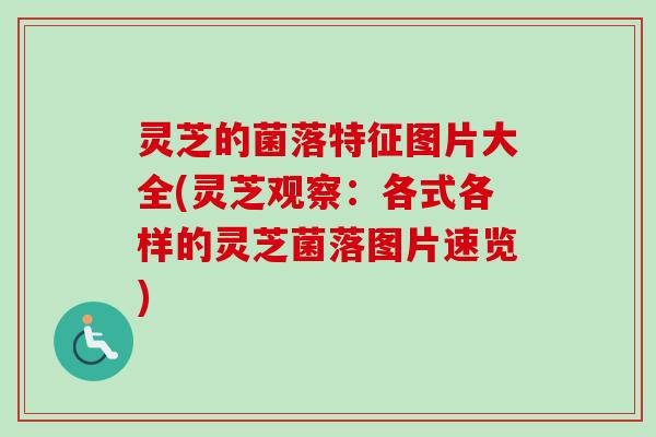 灵芝的菌落特征图片大全(灵芝观察：各式各样的灵芝菌落图片速览)