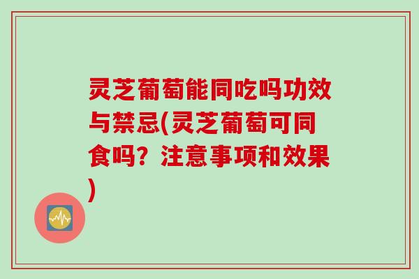 灵芝葡萄能同吃吗功效与禁忌(灵芝葡萄可同食吗?注意事项和效果) 灵芝葡萄能同吃吗功效与禁忌(灵芝葡萄可同食吗?注意事项和效果)