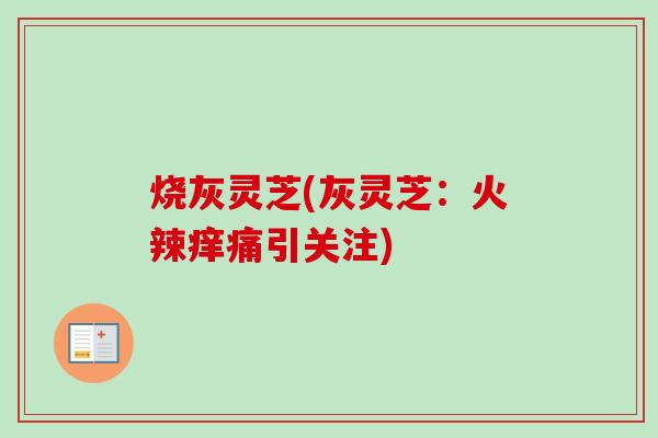 烧灰灵芝(灰灵芝：火辣痒痛引关注)