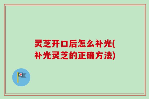 灵芝开口后怎么补光(补光灵芝的正确方法)