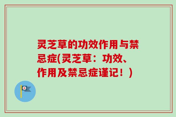 灵芝草的功效作用与禁忌症(灵芝草:功效、作用及禁忌症谨记!) 灵芝草的功效作用与禁忌症(灵芝草:功效、作用及禁忌症谨记!)