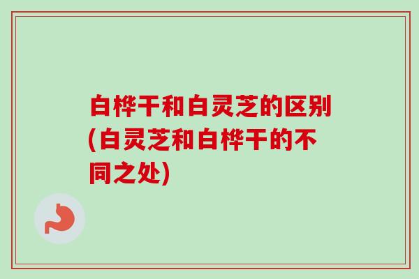白桦干和白灵芝的区别(白灵芝和白桦干的不同之处) 白桦干和白灵芝的区别(白灵芝和白桦干的不同之处)