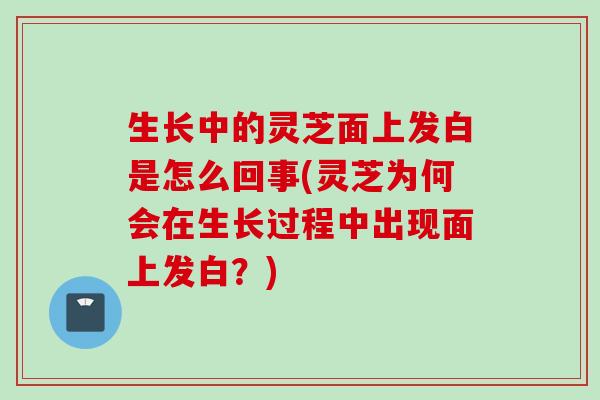 生长中的灵芝面上发白是怎么回事(灵芝为何会在生长过程中出现面上发白？)