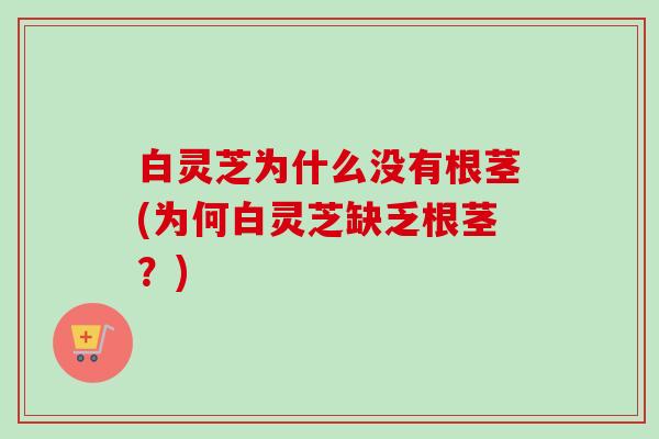 白灵芝为什么没有根茎(为何白灵芝缺乏根茎?) 白灵芝为什么没有根茎(为何白灵芝缺乏根茎?)
