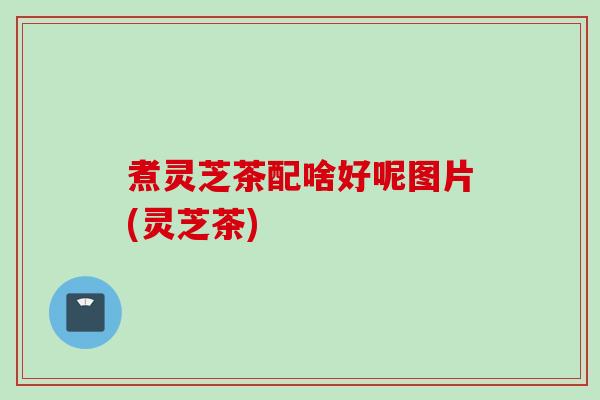 煮灵芝茶配啥好呢图片(灵芝茶)
