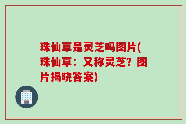 珠仙草是灵芝吗图片(珠仙草：又称灵芝？图片揭晓答案)