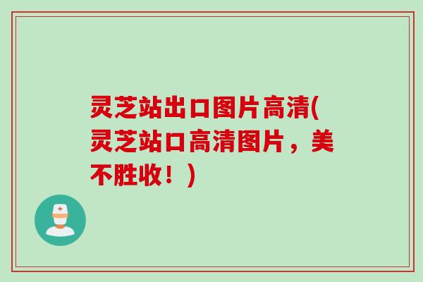 灵芝站出口图片高清(灵芝站口高清图片,美不胜收!) 灵芝站出口图片高清(灵芝站口高清图片,美不胜收!)