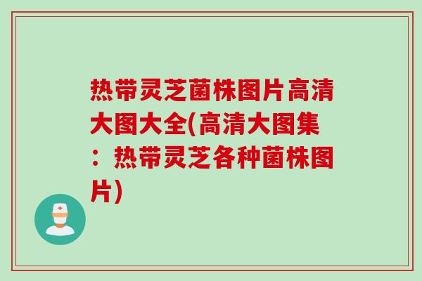 热带灵芝菌株图片高清大图大全(高清大图集：热带灵芝各种菌株图片)