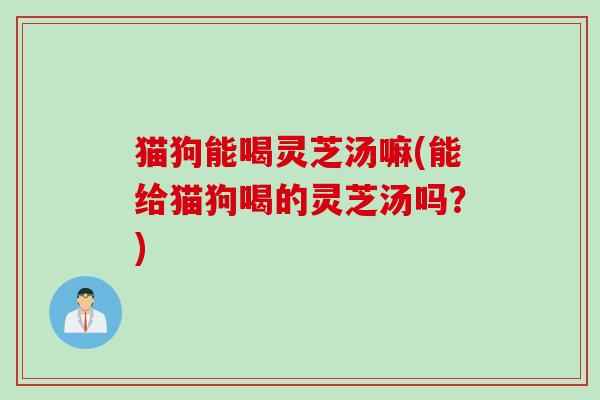 猫狗能喝灵芝汤嘛(能给猫狗喝的灵芝汤吗？)