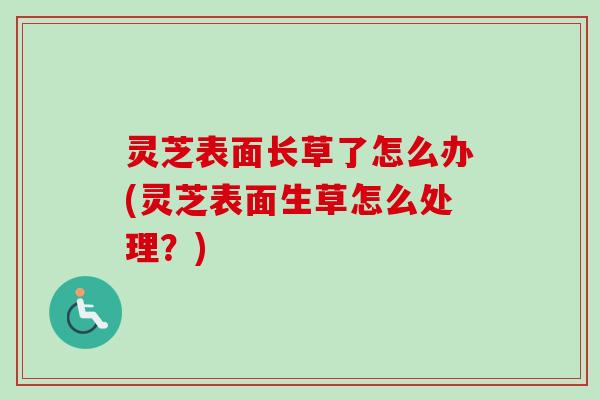 灵芝表面长草了怎么办(灵芝表面生草怎么处理?) 灵芝表面长草了怎么办(灵芝表面生草怎么处理?)
