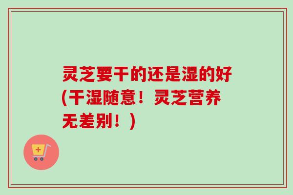 灵芝要干的还是湿的好(干湿随意！灵芝营养无差别！)