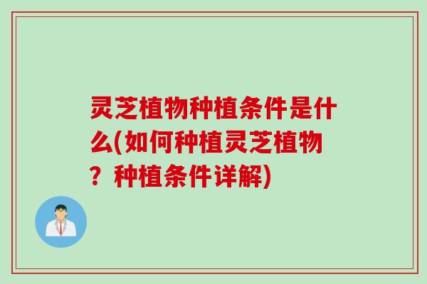 灵芝植物种植条件是什么(如何种植灵芝植物？种植条件详解)