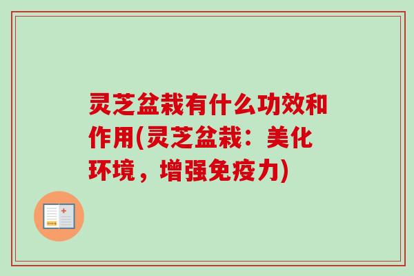 灵芝盆栽有什么功效和作用(灵芝盆栽：美化环境，增强免疫力)