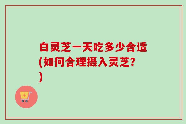 白灵芝一天吃多少合适(如何合理摄入灵芝？)